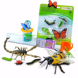 Safari Ltd Backyard Activity Bundle