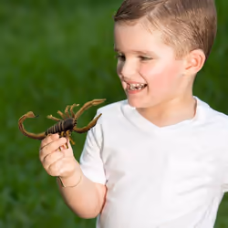 Safari Ltd Backyard Activity Bundle - Vue supplémentaire 4