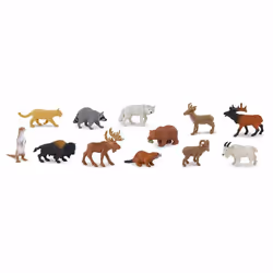 Safari Ltd North American Wildlife, 3 an(s), North American Wildlife, Multicolore