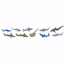 Safari Ltd Sharks TOOB, 3 an(s), Sharks, Multicolore