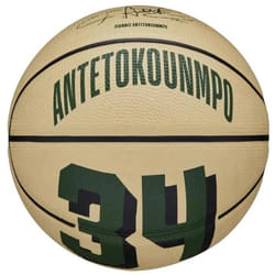 Mini ballon enfant Wilson NBA Player Icon Giannis