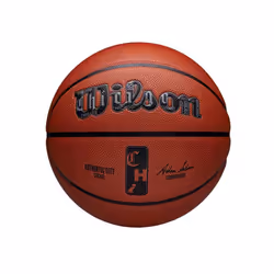 Ballon Chicago Bulls NBA Authentic City