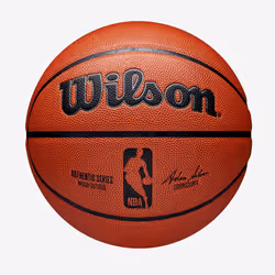 Wilson NBA Authentic, Marron, Intérieure et extérieure, NBA, 1 pièce(s)