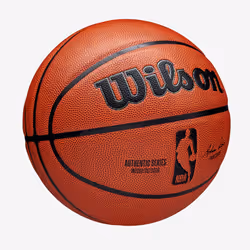 Wilson NBA Authentic Intérieure et extérieure Marron