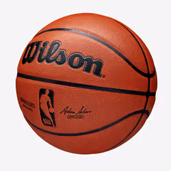Wilson NBA Authentic Intérieure et extérieure Marron