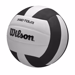Ballon Wilson Pro Tour VB