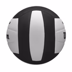 Ballon Wilson Pro Tour VB