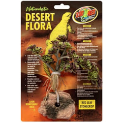 Accessoire de terrarium plante Zoomed Red Leaf