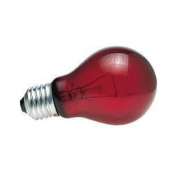 Lampe pour terrarium veilleuse Zoomed NR60