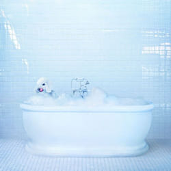 ImportCDs Vessel Vinyl Pop rock
