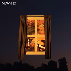 ImportCDs Moaning, Pop rock, CD, Support physique, Adulte, 1 disques, 02/03/2018