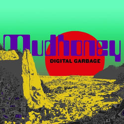 ImportCDs Digital Garbage CD Pop rock