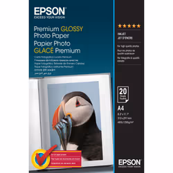 Epson Premium Glossy Photo Paper - A4 - 20 Feuilles, Brillant premium, 255 g/m², A4, 21x29.7 cm, Blanc, Brochure, Office prin ...