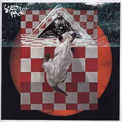 Alive AG Spectral Park (LP), Indienne, Vinyl, Spectral Park, Essential Sales and Marketing Ltd. / Mexican Summer, Emballage d ...
