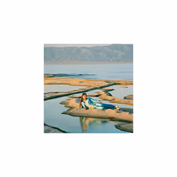 Alive AG Front Row Seat To Earth (LP), Indienne, Vinyl, Weyes Blood, Essential Sales and Marketing Ltd. / Mexican Summer, Emb ...