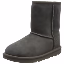 Bottes Classic Ii Cuir Gris