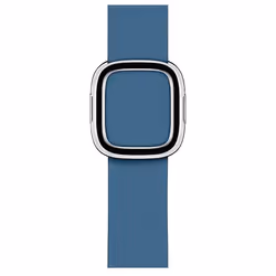 Apple MTQN2ZM/A, Smartwatch, Bleu, Apple, Apple Watch, Cuir, Argent
