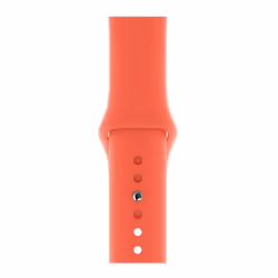 Apple MTPA2ZM/A, Bande, Smartwatch, Pêche, Apple, Apple Watch Series 4, Fluoroélastomère