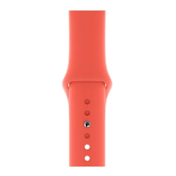 Apple MTPA2ZM/A accessoire intelligent à porter sur soi Bande Pêche Fluoroélastomère