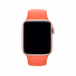 Apple MTPA2ZM/A accessoire intelligent à porter sur soi Bande Pêche Fluoroélastomère