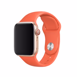 Apple MTPA2ZM/A accessoire intelligent à porter sur soi Bande Pêche Fluoroélastomère