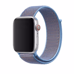 Apple MV6J2ZM/A accessoire intelligent à porter sur soi Bande Bleu, Gris Nylon