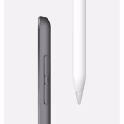 Apple iPad mini 64Go Gris
