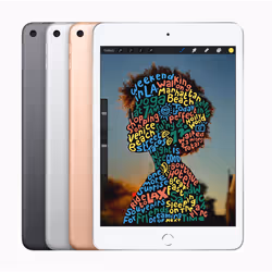 Apple iPad mini 64Go Gris
