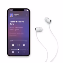 Beats by Dr. Dre Flex Gris