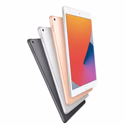Apple iPad 128Go 10.2" iPadOS Gris