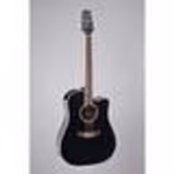 Takamine - Guitare électro-acoustique gd34ce black + housse