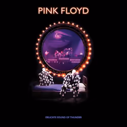 Warner Music Pink Floyd - Delicate Sound of Thunder, Rock, CD, Pink Floyd, Support physique, Adultes, Shine On You Crazy Diam ...