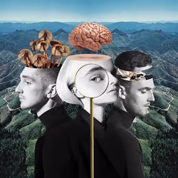ImportCDs What Is Love? (Deluxe Edition), Pop rock, CD, Support physique, Adulte, 1 disques, 29/11/2018
