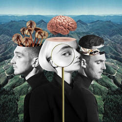ImportCDs What Is Love? (Deluxe Edition) CD Pop rock