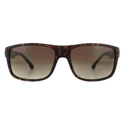 Lunettes de soleil - POLICE - SPLB39 Tailwind 4 - Havane foncé mat - Brun fumé gradient - Homme