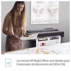 HP Cartouche d'encre 730 DesignJet noir mat, 300 ml - Vue supplémentaire 4