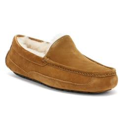 Pantoufles UGG Ascot pour Hommes - Marron - EU 46