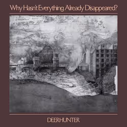 ImportCDs Why Hasn't Everything Already Disappeared, Pop rock, CD, Support physique, Adulte, 1 disques, 18/01/2019