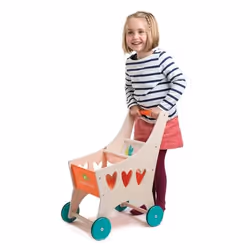 Tender Leaf Toys Shopping Cart
