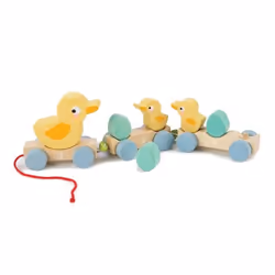 Tender Leaf Toys Pull Along Ducks, 18 mois, Multicolore