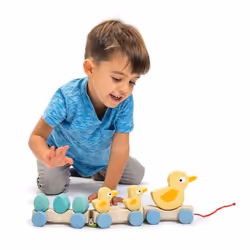Tender Leaf Toys Pull Along Ducks