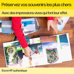 HP Cartouche d'encre DesignJet 766 gris de 300 ml