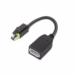 Lenovo 4X90Q93975, Mini DisplayPort, DisplayPort, Mâle, Femelle, Droit, Droit
