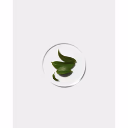 Clinique Even Better Clinical Radical Dark Spot Corrector + Interrupter Sérum visage 30 ml Femmes - Vue supplémentaire 5