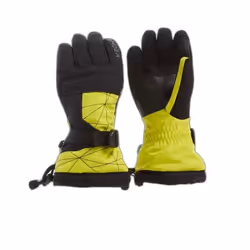 Gants de ski Spyder Overweb