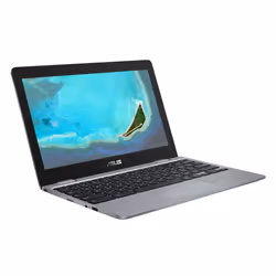 ASUS Chromebook C223NA-DH02 N3350 11.6" HD Intel® Celeron® 4Go 32Go Gris