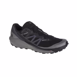 Chaussures de Running SALOMON Sense Ride 4 Gtx Noir - Homme/Adulte
