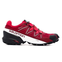 Salomon SPEEDCROSS 5 GTX L41612500 43 1-3