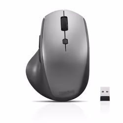Lenovo 4Y50V81591, Droitier, Optique, RF sans fil, 2400 DPI, Noir, Gris