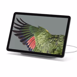 Google Pixel GA03951-EU, 27,8 cm (10.9"), 2560 x 1600 pixels, 256 Go, 8 Go, 493 g, Gris
